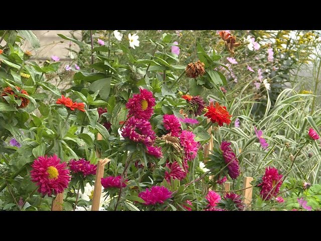 Уютных дворов все больше