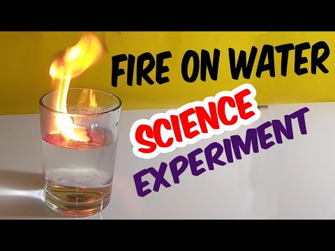 5 Simple Science Experiments and School Magic Tricks | Science Experiments for School