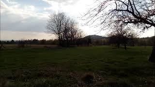 The Cruel Brother (Child 11) - Peggy Seeger &amp; Ewan MacColl