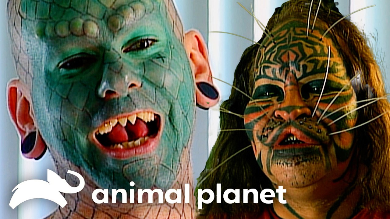 Changing Permanently Into an ANIMAL! | Weird, True & Freaky | Animal Planet