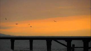 Collective Sound Members - Cognac (2006 Remix) video