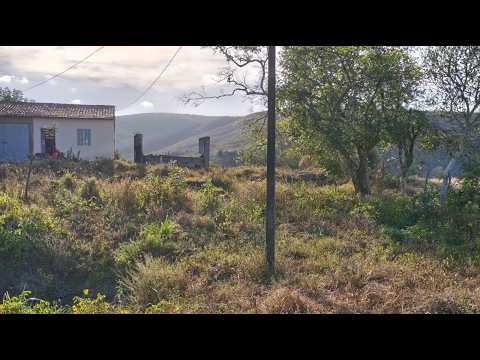 SÍTIO À VENDA EM PASSIRA-PE POR R$ 75 MIL | CASA BOA, TERRENO GRANDE E ACEITA TROCA! 🏡🌳