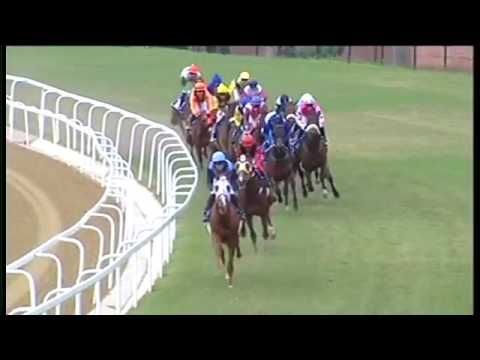 2016.07.02 Gold Vase (RSA) - Enaad