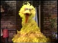 Classic Sesame Street Big Bird S Poem Babies 1970