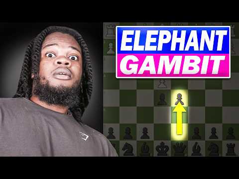 I Tried the Elephant Gambit ... Why Did Nobody Warn Me?