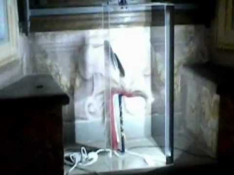 VILLA VAI IN VAIANO PRATO IN & OUT