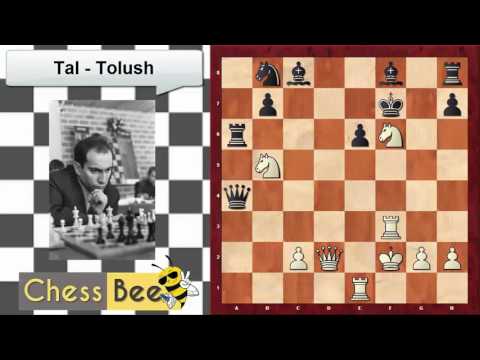 45. Tal Vs Tolush
