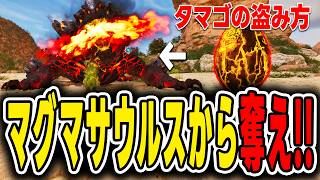 【ARK/ASA】マグマサウルスの卵をジェネシス1で安全に盗む方法！こいつで火山洞窟を攻略しろ！【Genesis】