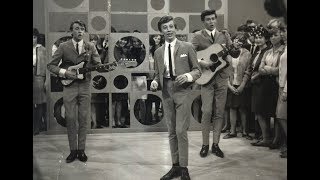 Bee Gees - All Of My Life (1966)