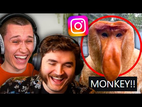 Ranking Our FAVOURITE Instagram Reels (w/ jschlatt)