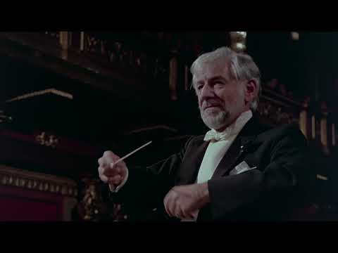 Mahler Symphony No 6 in A Minor - Bernstein (4k)