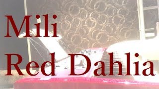 Mili - Red Dahlia / piano cover by narumi ピアノカバー