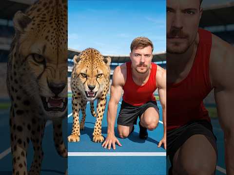 Mein Rennen gegen einen Gepard