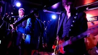 Tav Falco's Panther Burns - Tobacco Road (Paris, 11 Dec. 2010)