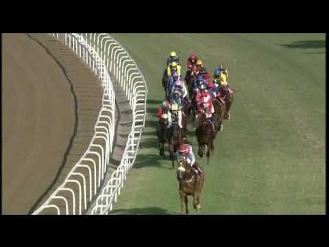 20200725 Hollywoodbets Greyville express clip Race 7 won by BELGARION