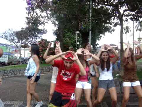 CARNA PINHAL 2010 - REBOLATION