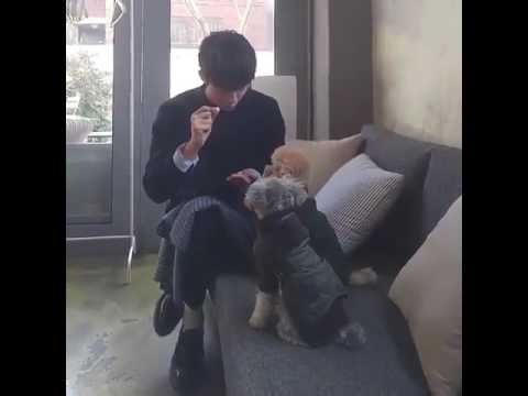 Nam Joo Hyuk enjoys playing with dogs