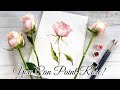 How to paint rose in watercolor. Tutorial step by step.