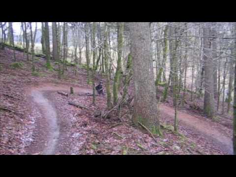 Coed y Brenin  March 2009  pt 2