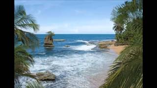 Mi Puerto Viejo - Calypso Limonense