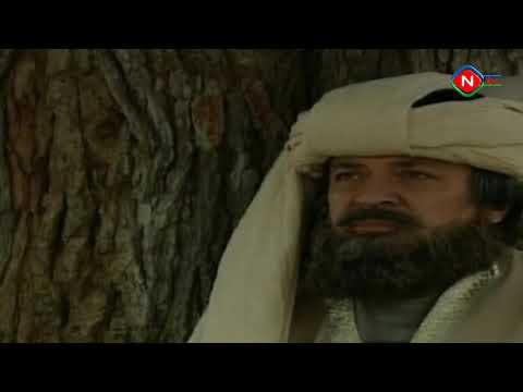 Söz sultanı Nizami - 13.03.2021