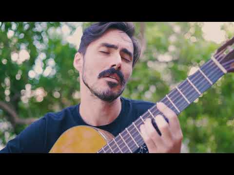 Quando O Galo Cantou - Caetano Veloso