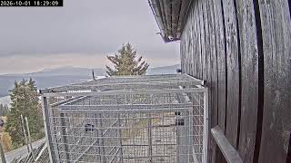 Nordland · Bodø · Direkte live stream