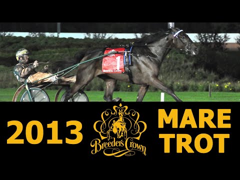 2013 Breeders Crown - Maven - Mare Trot