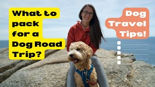 Tips for Traveling With Dogs | Dog Road Trip Packing Essentials