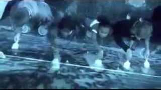 Dare il meglio di se