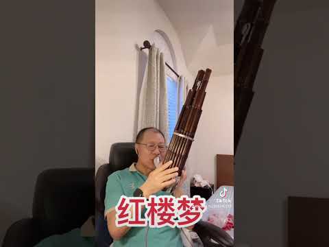 笙独奏（红楼梦）