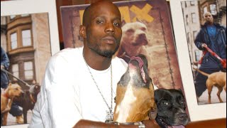 DMX - Fuck Y&#39;All (Subtitulada en Español)