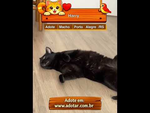 Vídeo de Harry