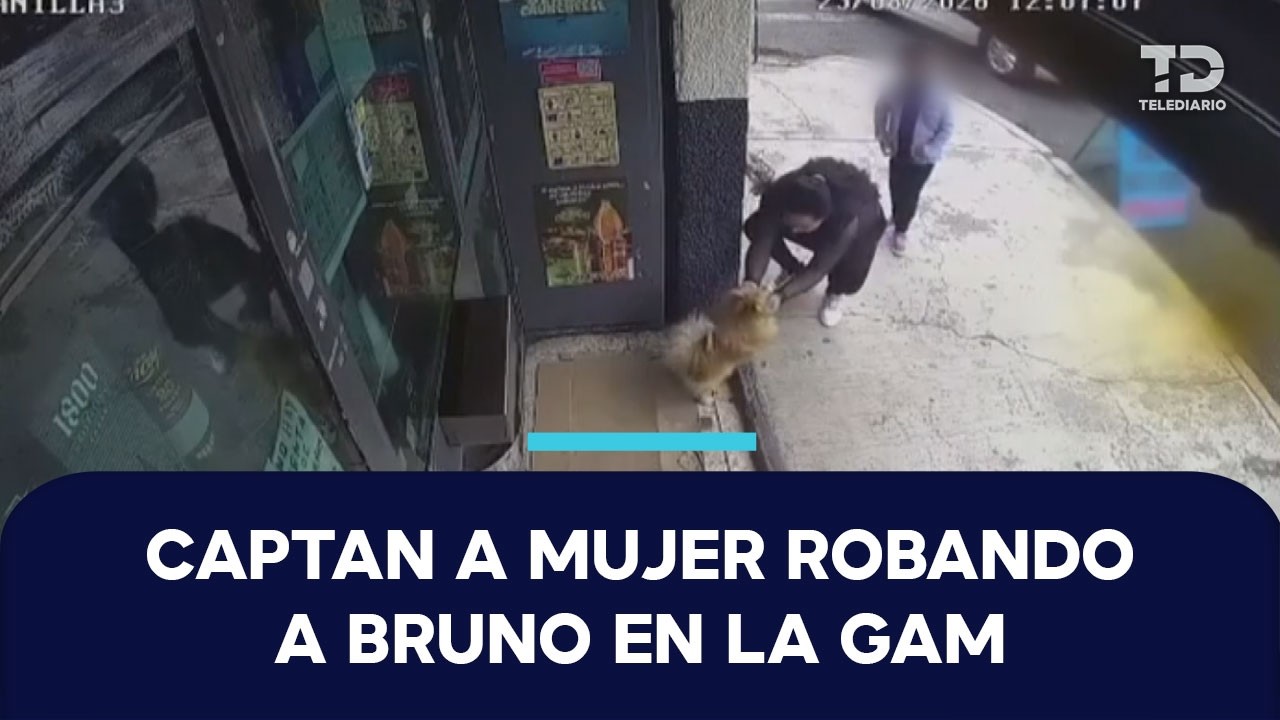 ¡Poniendo el mal ejemplo! Captan a mujer robando un perro con su hija en la GAM, CdMx; así huyeron