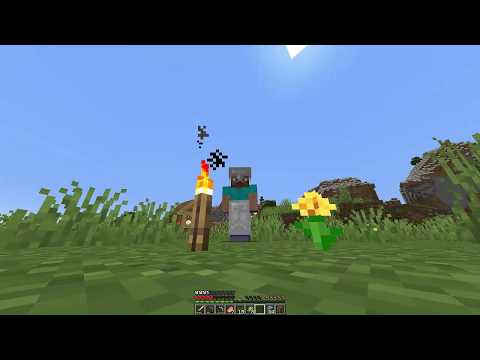 COSTRUIAMO LA NOSTRA CASA SU MINECRAFT! #2