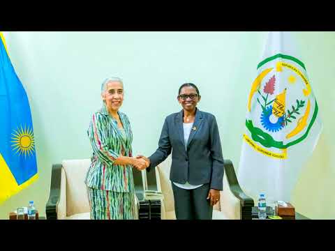 AMBASADERI WA BRAZIL MU RWANDA, YAKIRIWE ANAGANIRA NA PEREZIDA W’INTEKO ISHINGA AMATEGEKO Y’U RWANDA