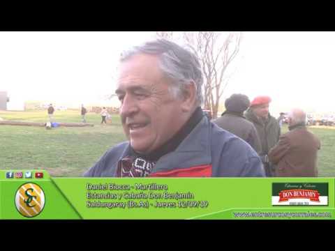 12-09-19 - Daniel Biocca - Martillero - Estancias y Cabaña Don Benjamín - Saldungaray (Bs.As.)