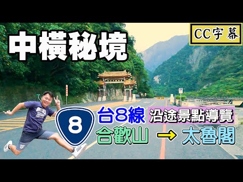 碧綠神木