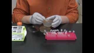 Simply Cloning - Supplement 2 - Cracking Gel