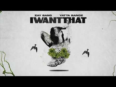 ZayBang & Yatta Bandz - I Want That (Official Visualizer)