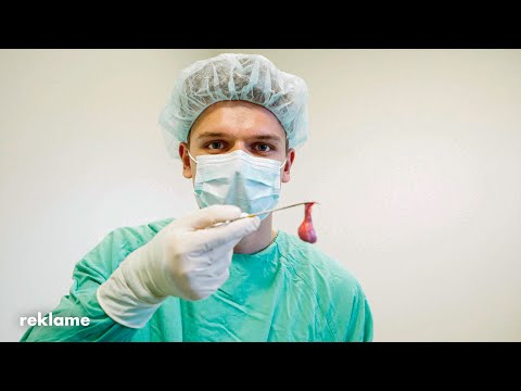 Hvad kan jeg blive - Dyrl&aelig;ge - YouTube video