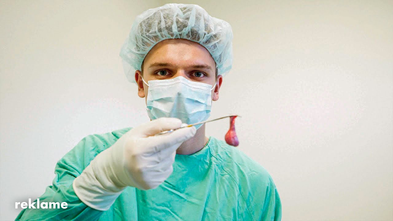 Hvad kan jeg blive - Dyrl&aelig;ge - YouTube video