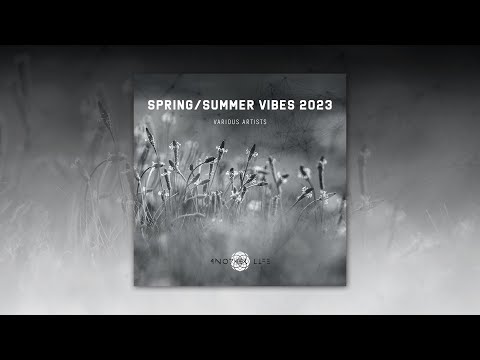 Thedtry - Black Structure (Original Mix) [Another Life Music]