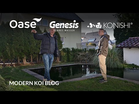 Modern Koi Blog #5868 - An interesting water analysis at Johnny's pond
