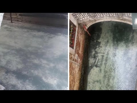 Youtube video image