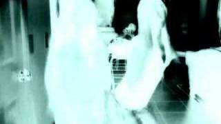 wallawalla bing bang bash