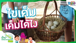 ไข่เค็ม เค็มได้ไง | บ้านนักวิทยาศาสตร์น้อย
