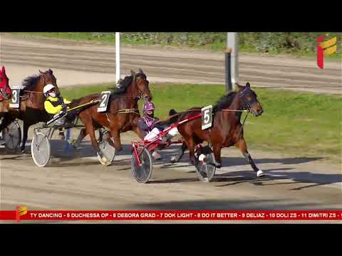 V Corsa del 4 Febbraio 2023 - 4 Anni - Metri 1600