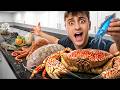 Cooking RARE Animals You Ve Never Seen Before