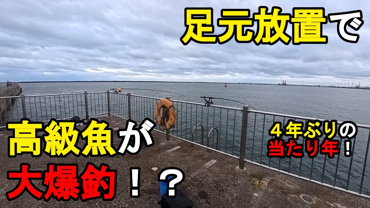 【茨城県某所】足元放置で高級魚が大爆釣！？真冬の厳寒期に、関東地方の太平洋側に面している地域にある釣り場で、数年ぶりに好調の、とあるターゲットを狙って釣りしてみたら…！【2026年2月下旬】